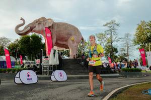 BIB: 
                            <button type="button" onclick="openModal(26529209)" class="btn btn-primary btn-sm float-right btn-popup" data-toggle="modal" data-target=".modal-high-quality">
                        <i class="fas fa-shopping-cart"></i> Add to Cart
                    </button>
                                            <button type="button" onclick="isThisMe(26529209, true)" class="btn btn-success btn-sm float-right btn-popup btn-isme hidden" data-toggle="tooltip" data-placement="bottom" title="นี่คือรูปของคุณใช่ไหม คลิกที่นี่เพื่อเอาเข้าอัลบั้ม">
                        <i class="fas fa-plus"></i> Add to album
                    </button>
                    <button type="button" onclick="isThisMe(26529209, false)" class="btn btn-warning btn-sm float-right btn-popup btn-isnotme hidden">
                        <i class="fas fa-ban"></i> Remove from album
                    </button>